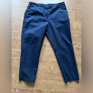 Navy ankle pants